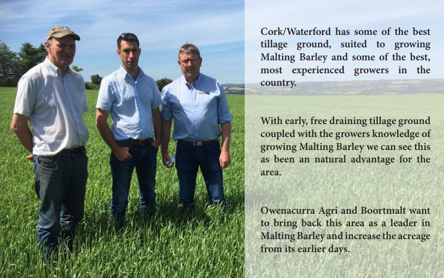 Malting Barley Malting Barley East Cork
