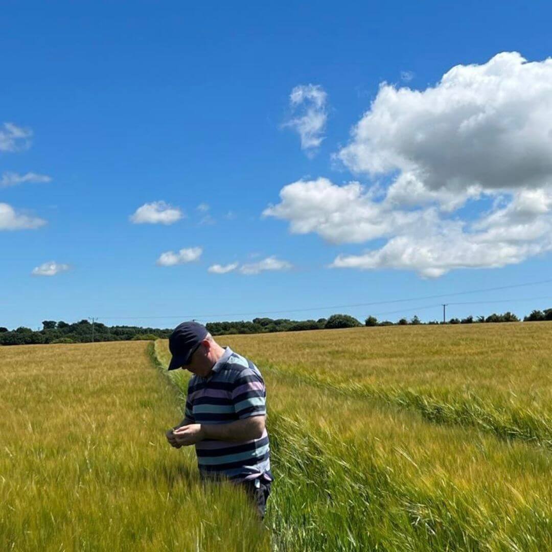 Maurice checking Malting barley